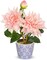 Spring Tabletop Decor – Artificial Dahlia Flower Arrangement in Blue & White Ceramic Pot, 13.8" Silk Dahlia Floral Centerpiece for Dining Table, Home, Office & Shelf Decor (Pale Pink)